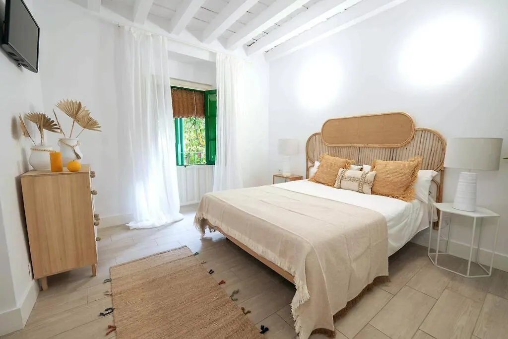 Apartamento A Estrenar En Calle Alcazares Seville 0*,  Spain