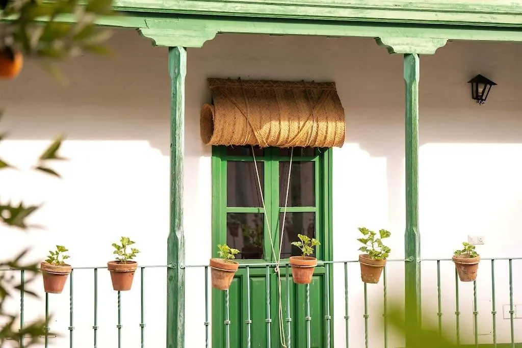 Apartamento A Estrenar En Calle Alcazares Sevilla